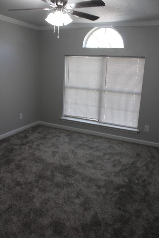 carpeted empty room featuring ceiling fan and ornamental molding