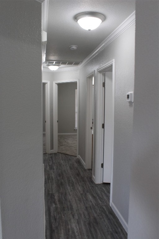 hallway featuring ornamental molding and dark hardwood / wood-style flooring