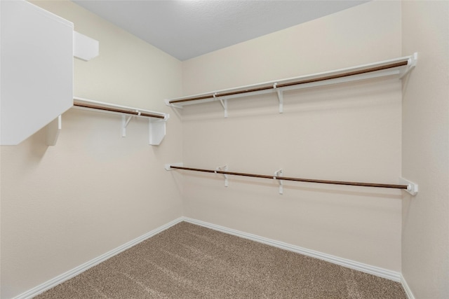 walk in closet with carpet floors