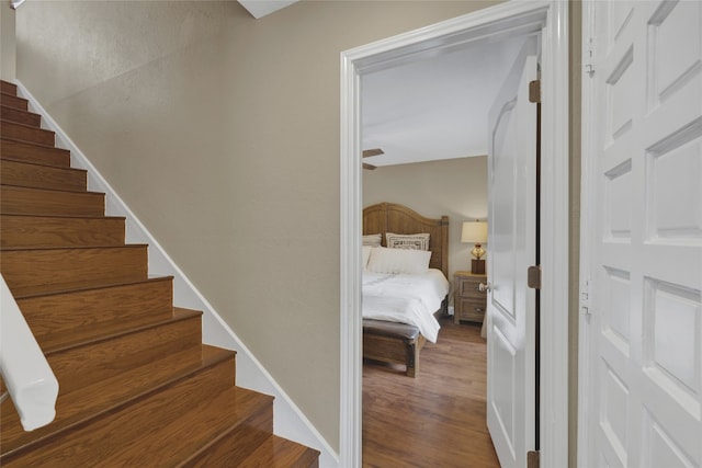 staircase with wood-type flooring