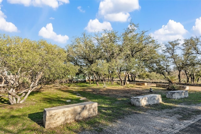 surrounding community featuring a yard