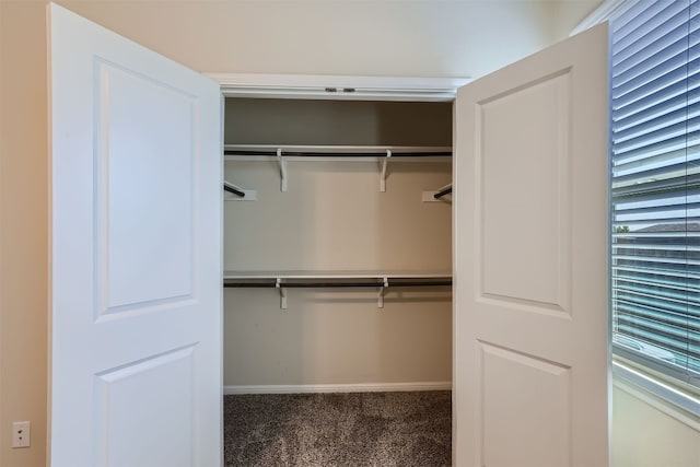 view of closet