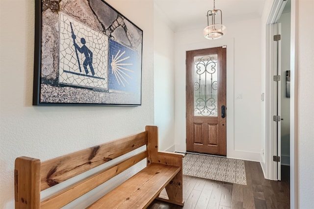 foyer entrance featuring dark wood-type flooring