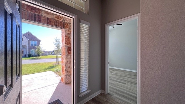 foyer with hardwood / wood-style flooring