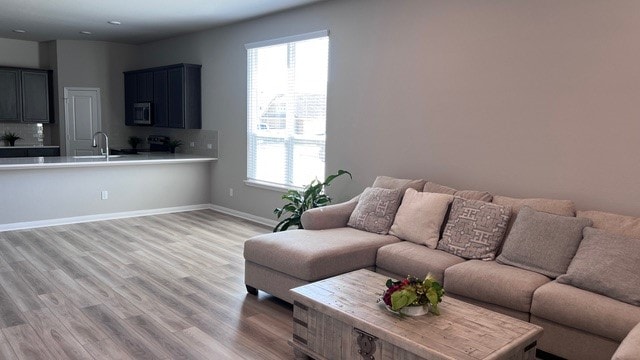 living room with a healthy amount of sunlight, sink, and light wood-type flooring