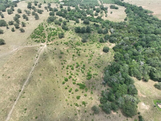 TBDLOT3 Bateman Rd, Tx, TX 78662 - photo 9