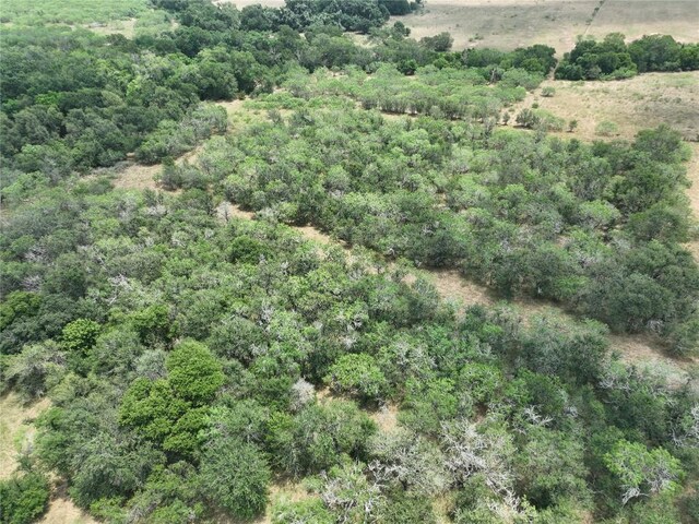 TBDLOT3 Bateman Rd, Tx, TX 78662 - photo 11