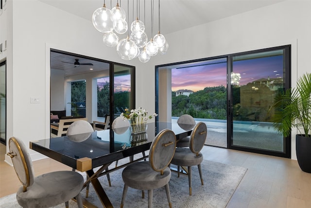 dining room featuring light hardwood / wood-style flooring and ceiling fan with notable chandelier