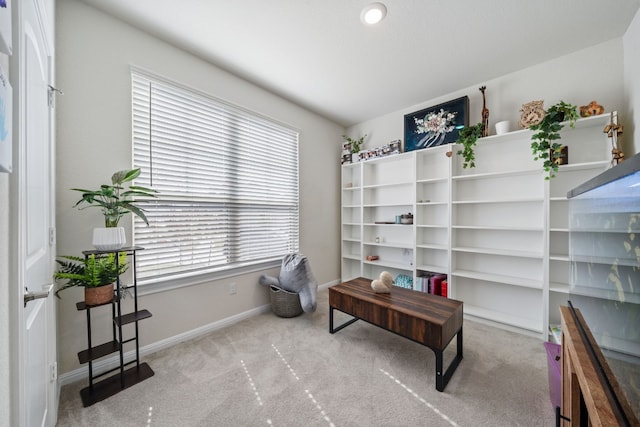 sitting room with light colored carpet