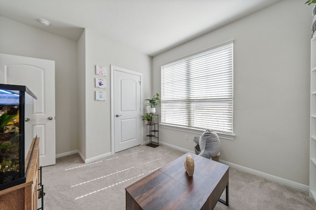 sitting room with light colored carpet