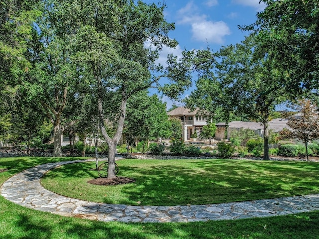 view of home's community featuring a yard