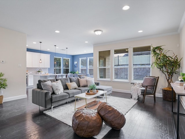 living room featuring crown molding and dark wood-type flooring