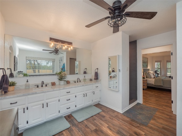 bathroom featuring plenty of natural light, vanity, and hardwood / wood-style flooring