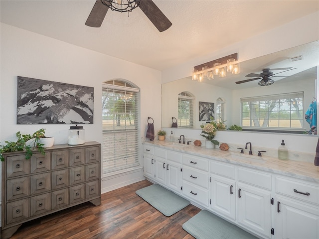 bathroom featuring vanity, hardwood / wood-style flooring, and plenty of natural light