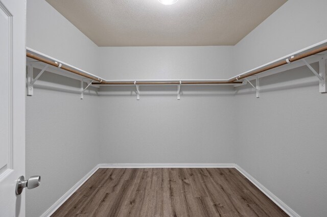 spacious closet featuring hardwood / wood-style flooring