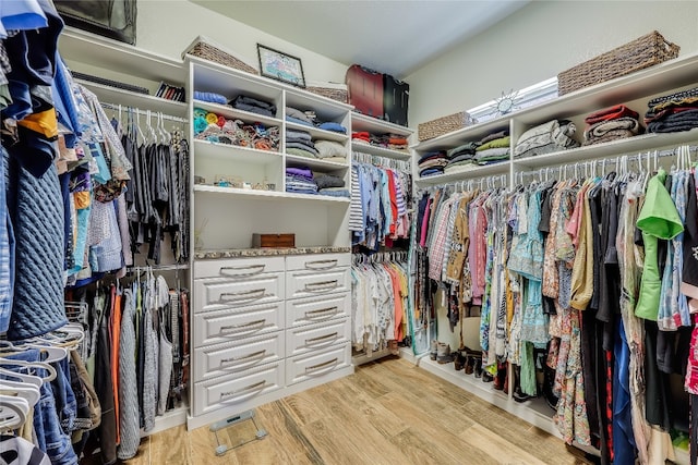 spacious closet featuring light wood-type flooring