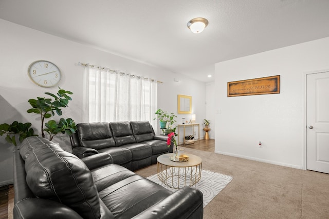 living room featuring carpet floors