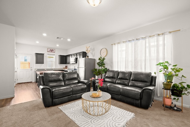 living room featuring light hardwood / wood-style floors