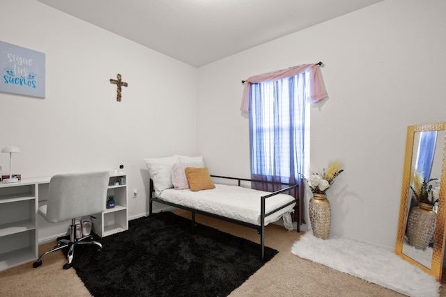 bedroom with carpet flooring