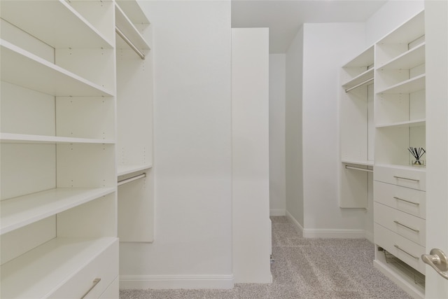 walk in closet with light carpet