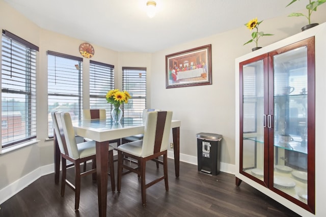 dining room featuring dark wood-type flooring