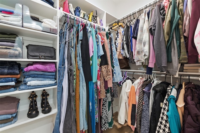 view of spacious closet