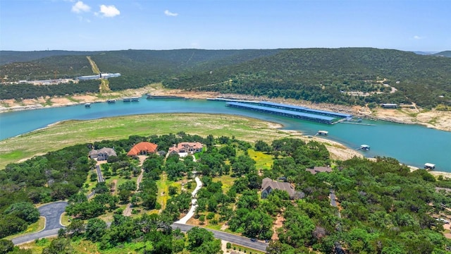 17124 Northlake Hills Dr, Jonestown, TX 78645