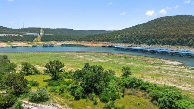 17124 Northlake Hills Dr, Jonestown, TX 78645