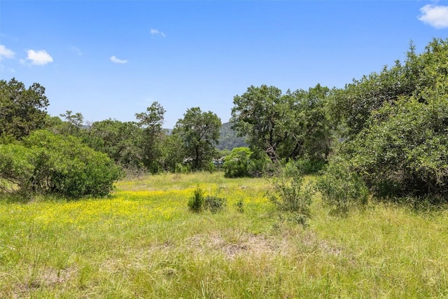17124 Northlake Hills Dr, Jonestown, TX 78645