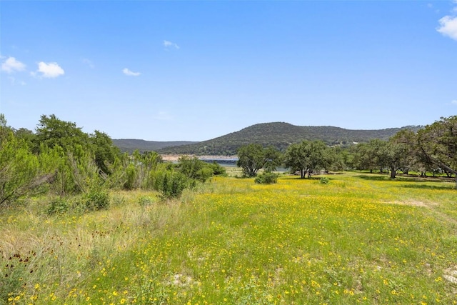 17124 Northlake Hills Dr, Jonestown, TX 78645