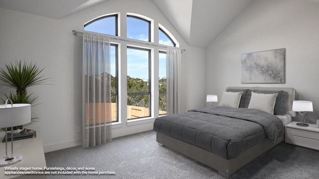 920 Teakmill Trl, San Marcos, TX 78666 - carpeted bedroom with vaulted ceiling