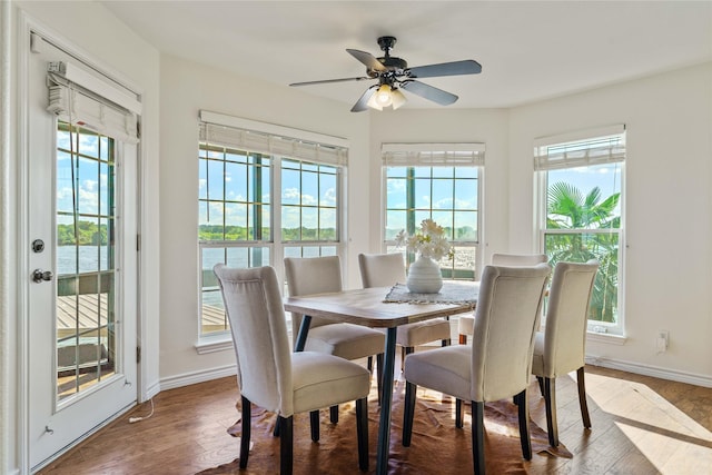 dining space with ceiling fan and hardwood / wood-style flooring