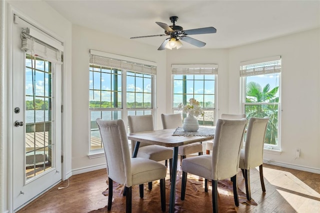 dining area featuring hardwood / wood-style flooring and ceiling fan