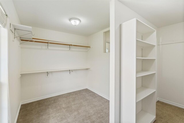 spacious closet featuring light carpet