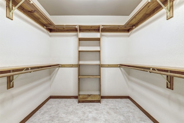 spacious closet featuring light carpet