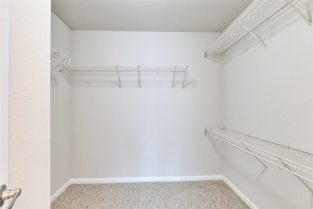 spacious closet featuring carpet