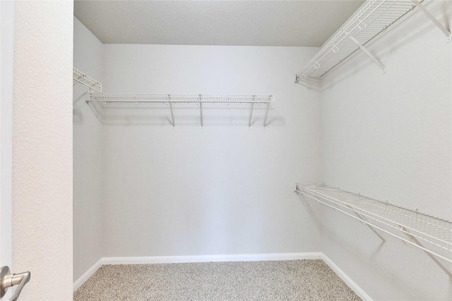 7537 S Glenn St, Austin, TX 78744 - walk in closet featuring carpet flooring