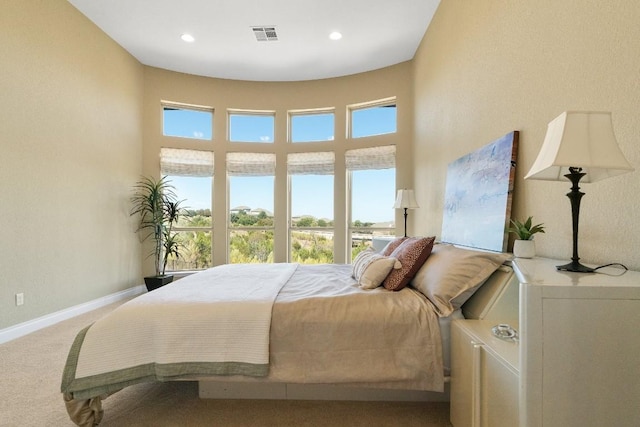 18201 Hewetson Cv, Austin, TX 78738 - carpeted bedroom with multiple windows, baseboards, recessed lighting, and a high ceiling