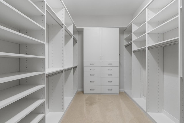 spacious closet with light carpet