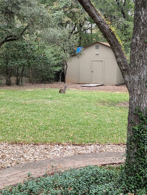 view of yard with a storage unit