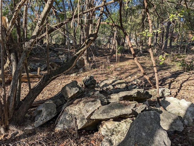 view of local wilderness