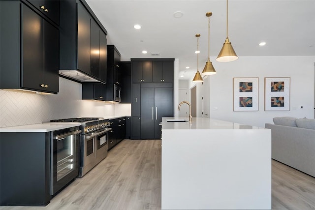 kitchen featuring dark cabinets, light wood-style flooring, appliances with stainless steel finishes, and a sink