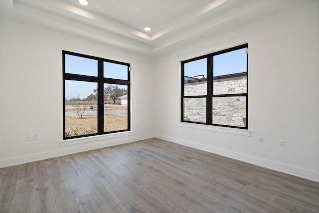 empty room featuring plenty of natural light, baseboards, and wood finished floors