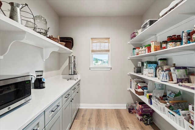 view of pantry