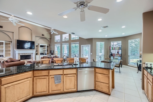 kitchen featuring stainless steel dishwasher, sink, and dark stone countertops