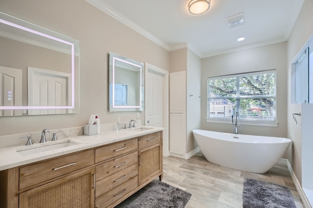 bathroom featuring vanity, ornamental molding, and a washtub