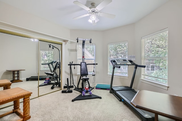 workout room with ceiling fan and carpet