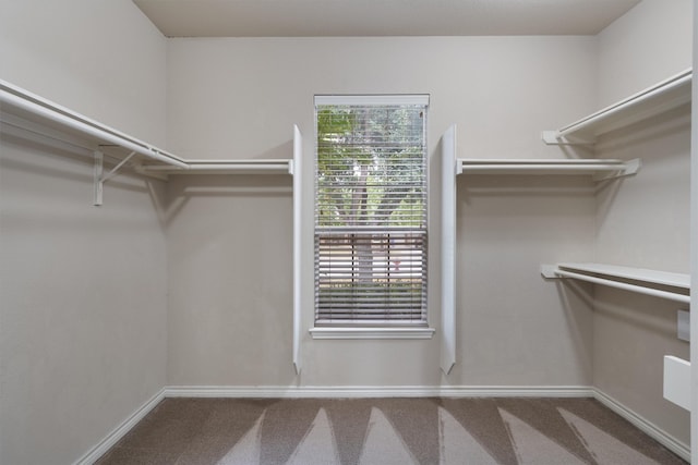 walk in closet featuring carpet