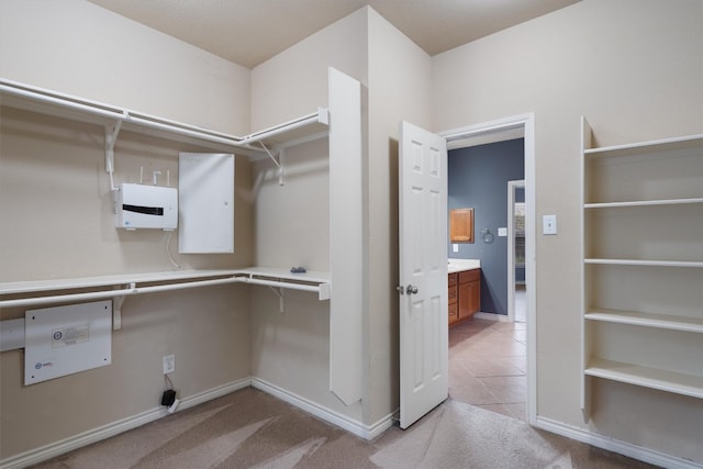 walk in closet with light colored carpet