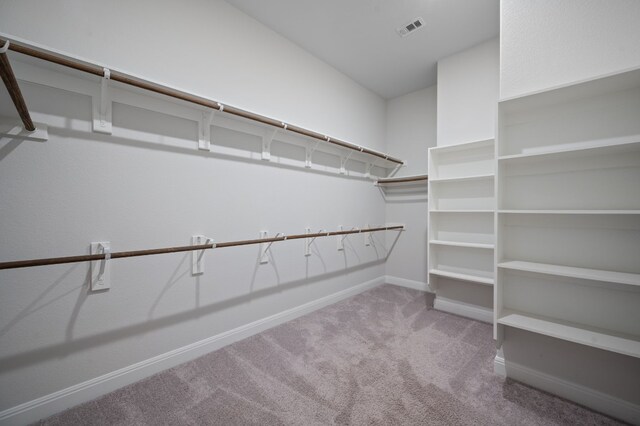 spacious closet with carpet flooring